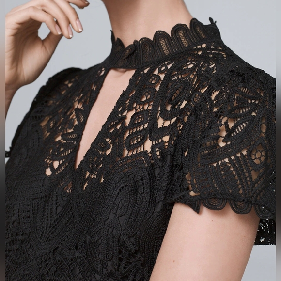 White House Black Label | Short Sleeve Crotchet Lace Dress with Cutout - Picture 15 of 16